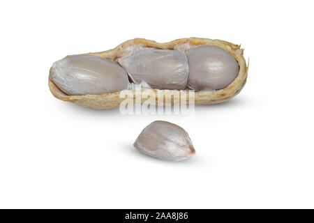 Boiled peanut on white background. Stock Photo