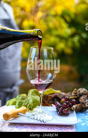 Pouring yound red beaujolais wine in glass during celebration of end of harvest and first sale release on third Thursday of November in sunny day in B Stock Photo