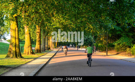 London, England, UK - July 22, 2014: Cyclists ride through an avenue of trees on the Carriage Drive in Battersea Park, west London. Stock Photo