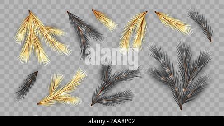 Set of Fir Branches Stock Vector