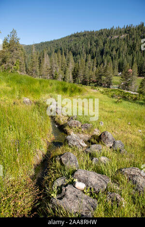 Hot spring creek running through a valley in Drakesbad, California Stock Photo