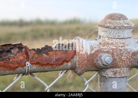 Rusty old fence with spider web Stock Photo