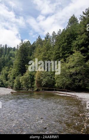 Small foot bridge over shallow tranquil Redwood Creek in a lush forest Stock Photo