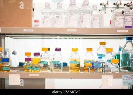 Various solutions in bottles on a laboratory shelf Stock Photo