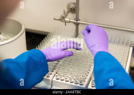 Using glass syringe to fill test tubes Stock Photo