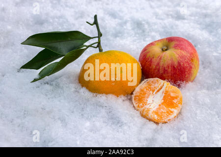 Ripe fruits tangerine, lemon and red apple lie on cold white snow Stock Photo