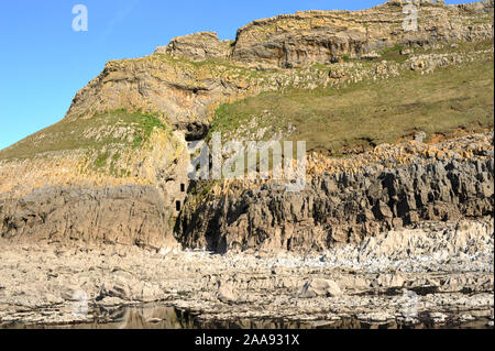 Culver Hole, an ancient dovecot walled into the cliffs near Port Eynon, Gower, Wales. Seen from low tide. Stock Photo