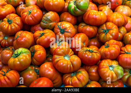 Red tomatoes background. Group of fresh tomatoes. Stock Photo