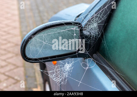 Winter time has arrived, spiderwebs  and frozen car windows on a icy misty morning in the Netherlands Stock Photo