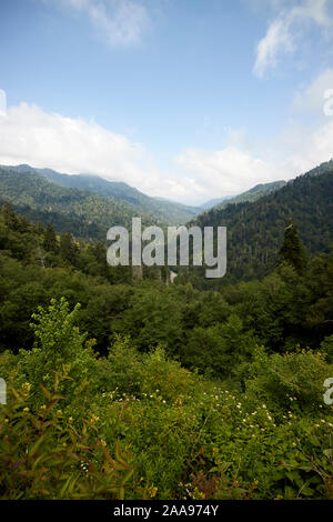 morton overlook at the newfound gap in great smoky mountains national park usa Stock Photo