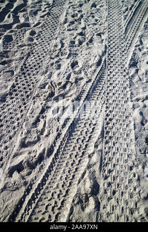 car and atv tire tracks in white northern florida sand on a beach florida usa Stock Photo