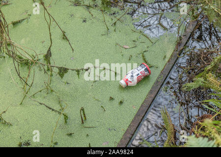 Empty plastic soft drink bottle floating in stagnant drainage ditch water covered in green duckweed. Brand unidentified hence RM. Reflections in water Stock Photo
