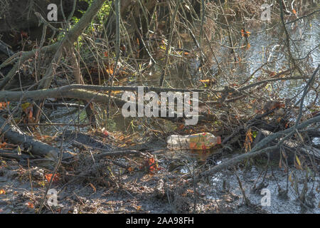 Empty floating plastic soft drink bottle in drainage ditch reflecting sky and background. Brand unidentified hence RM. Caught up metaphor, entangled. Stock Photo