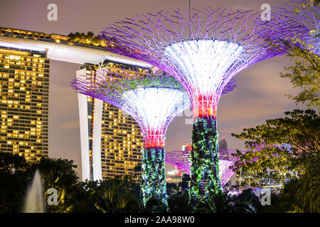 Close-up view of the illuminated Supertree Grove in Singapore.