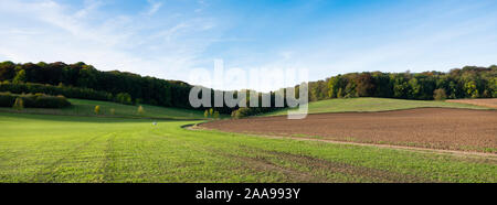 field and patch of sunshine on meadow in south limburg near valkenburg on sunny day Stock Photo