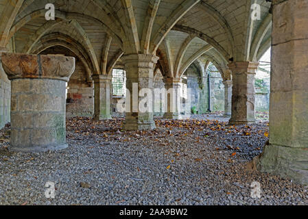 Undercroft of St Leonards Hospital, Museum Gardens, York North Yorkshire UK Stock Photo