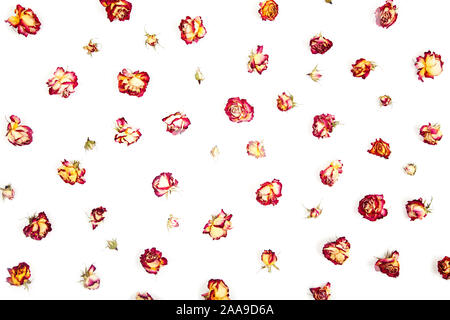 Decorative pattern with pink and yellow bright dry roses, buds on white background. Flat lay, top view, view from above. Isolated Stock Photo
