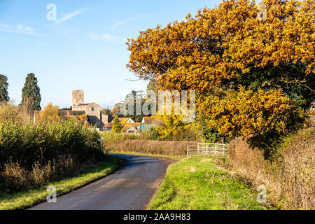 An oak tree in autumn beside the lane to Deerhurst in the Severn Vale, Gloucestershire UK Stock Photo