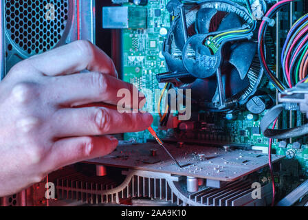 Close-up of professional equipment master repairing computer software. The hand of a master with a screwdriver repairs microcircuit technology. Cleani Stock Photo