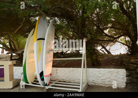 Surfboards on stand at a surf spot in Maldives. Surfers left their surfing boards during break for rest.