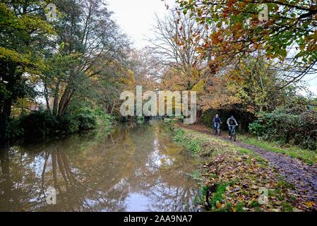 Two cyclists riding on the towpath by the River Wey navigation canal Byfleet on a colourful autumnal day Surrey England UK Stock Photo