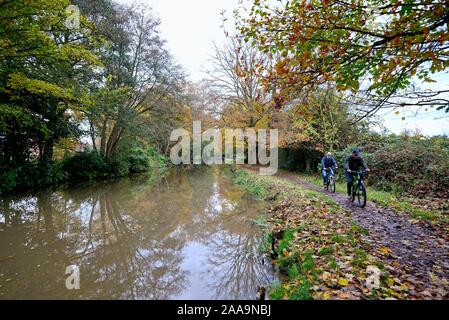 Two cyclists riding on the towpath by the River Wey navigation canal Byfleet on a colourful autumnal day Surrey England UK Stock Photo