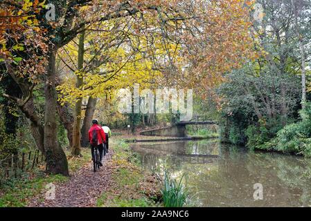 Two cyclists riding on the towpath by the River Wey navigation canal Byfleet on a colourful autumnal day Surrey England UK Stock Photo