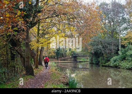 Two cyclists riding on the towpath by the River Wey navigation canal Byfleet on a colourful autumnal day Surrey England UK Stock Photo