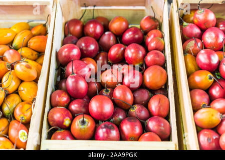 Tamarillo tree tomato exotic fruit at a street food market fair festival. Stock Photo