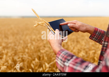 Smart farming using modern technologies in agriculture. Man agronomist farmer with digital tablet computer in wheat field using apps and internet Stock Photo