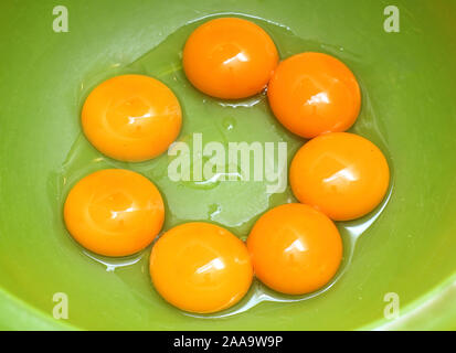 Fresh organic yellow egg yolks in plastic bowl ready for cooking Stock Photo
