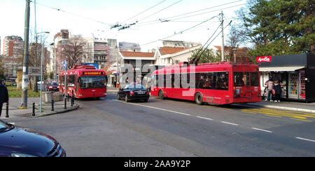 Crveni Krst - Red Cross - Vracar, Belgrade, Serbia - public transport trolleys on the main street Stock Photo