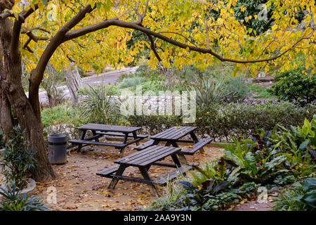 The Gibraltar Botanic Gardens or La Alameda Gardens are a botanical garden in Gibraltar, spanning around 6 hectares. Stock Photo