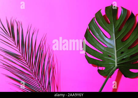 Frame of tropical leaves on bright pink background. Place for text. Stock Photo