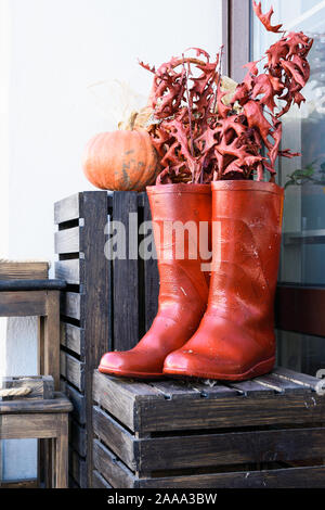 a pair of red boots on a wooden box on the background of a wall and pumpkins Stock Photo