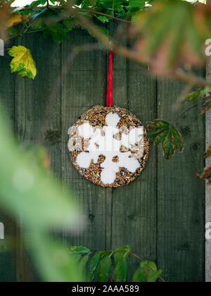 Christmas bird food seed block snowflake shaped fat inset hanging on green fence looking through tree foliage. Stock Photo
