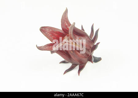 Roselle, Jamaican Sorelor or Hibiscus sabdariffa isolated on white background with clipping path Stock Photo