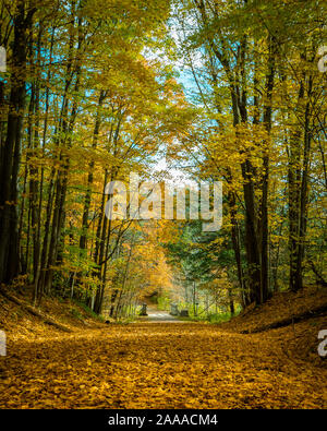 Walking Trail near fort drum New York Stock Photo