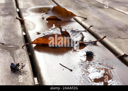 autumn leaves on the dry, wodden table in garden Stock Photo