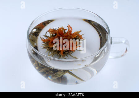 Tea flowers in a teacup, flowers blossom tea, Green Tea 'Sweet Osmanthus' | Teeblume, Gruener Tee 'Sweet Osmanthus', in eine Teetasse / Stock Photo