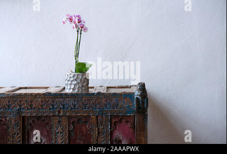 Beautiful orchid in a pot on a rustic stylish highboy in front of a white plastered wall Stock Photo