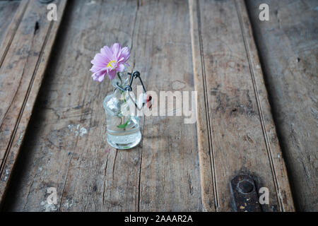 Pink summer flower in a small glass vase on a used shabby wooden element with cracks Stock Photo