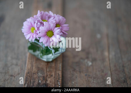 Pink asters in a small glass vase from above on a rustic shabby wooden furniture