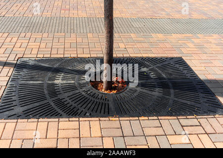 Metal grate for tree in a city walkway Stock Photo