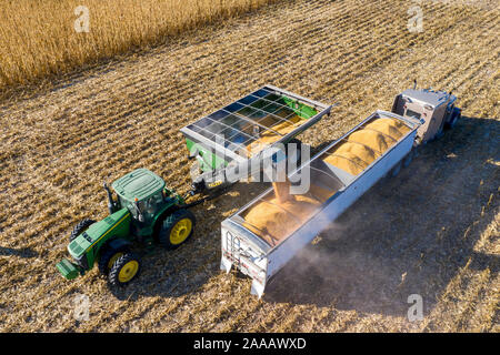 Ragan, Nebraska - Corn harvest. Stock Photo