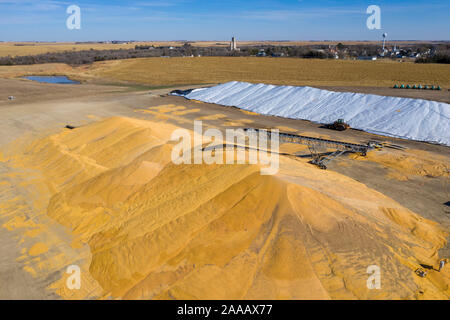 Campbell, Nebraska - Corn is stored temporarily on the ground. Stock Photo