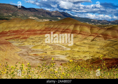 Painted Hills Unit - John Day Fossil Beds National Monument, Oregon, USA Focus in the foreground, on the flowers!!!! Stock Photo