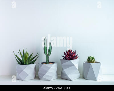 Cactus pots. Concrete pots minimal style. Various cactus and succulent plants in modern geometric concrete planter on white wooden shelf isolated on w Stock Photo