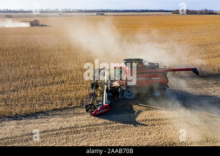 Valley City, North Dakota - Combines harvest soybeans at the Noeske Seed Farm. The soybeans will be sold through seed companies for next year's crop. Stock Photo