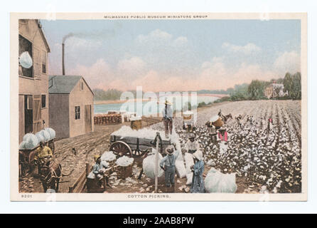 Continued contract issues.; Cotton Picking, Milwaukee Public Museum Miniature Group, Milwaukee, Wisc. Stock Photo